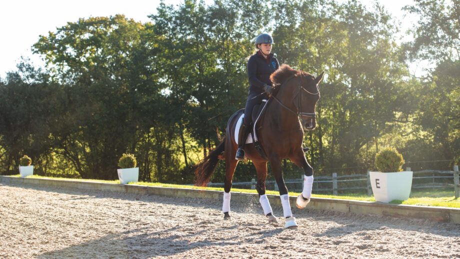 A dressage rider on a dark bay horse in an arena at sunset