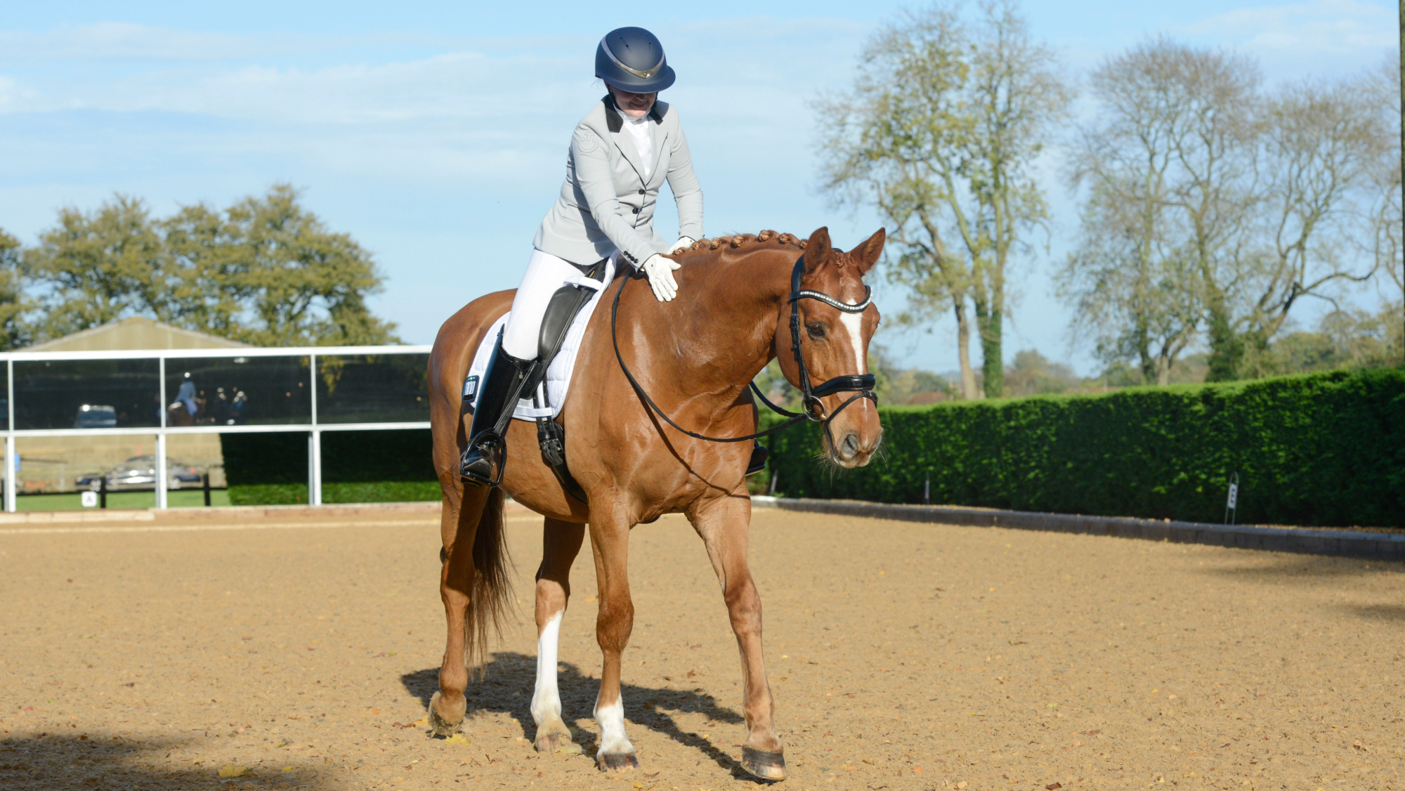 A rider leaning down to pat their horse on the neck in reward after riding a square halt