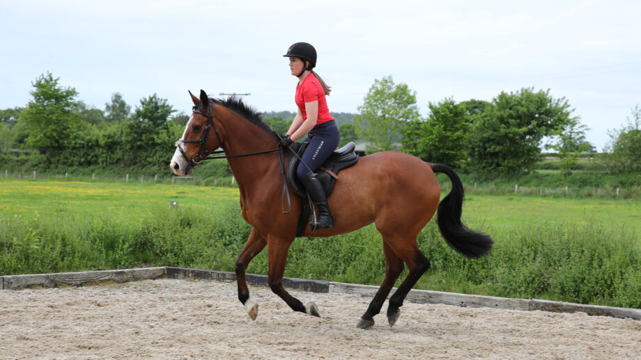 Rider cantering in an arena