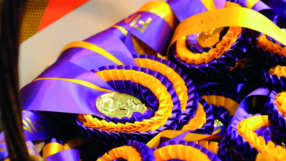 A rosettes basket at Horse of the Year Show