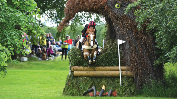 A chestnut horse with a white blaze jumps a brush owl hole fence towards the camera on the Bramham 2025 cross-country track.