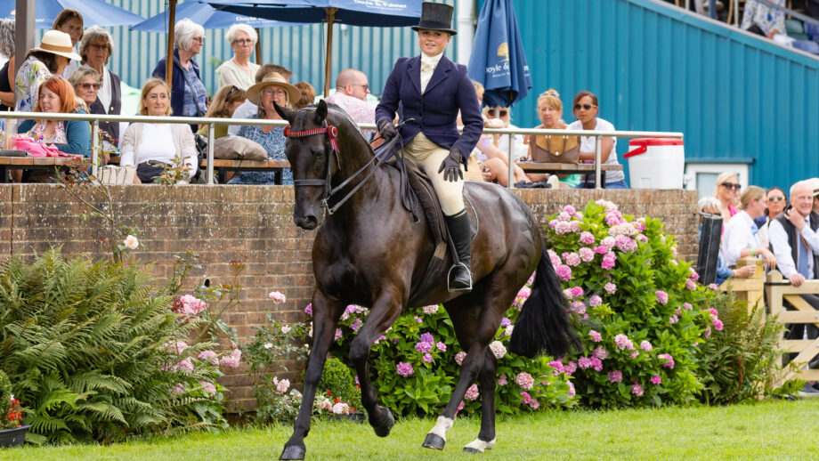Reserve champions Cleopatra and Elliee Stunt canter along the front of the crowd in the 2025 Royal International hack championship