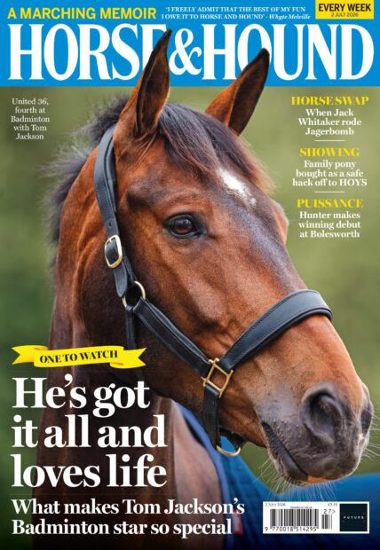 cover of Horse & Hound featuring a head shot of bay event horse United 36