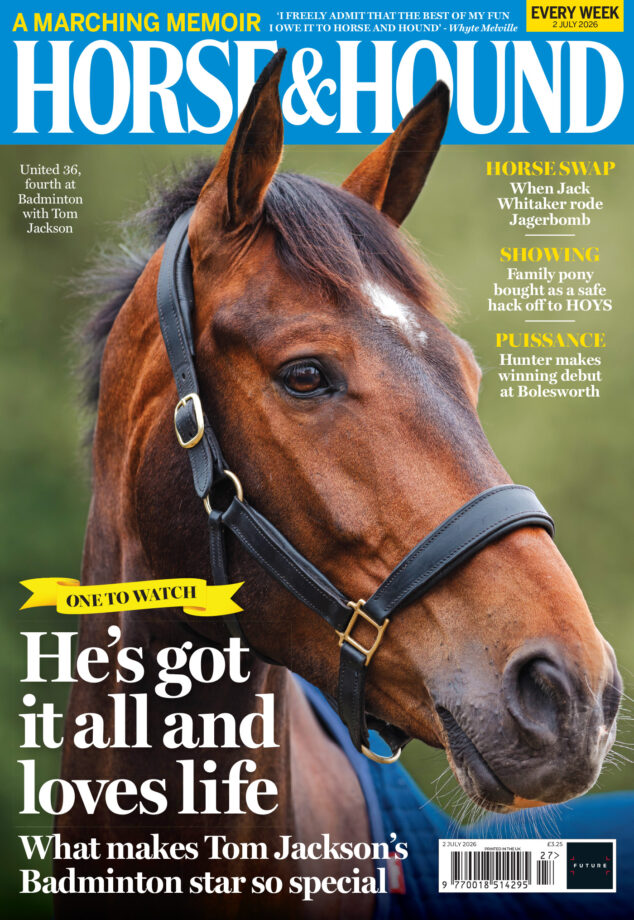 cover of Horse & Hound featuring a head shot of bay event horse United 36