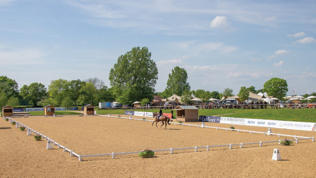 A distant shot of a dressage arena at Hickstead wth a horse cantering across the diagonal in front of the judges' huts.