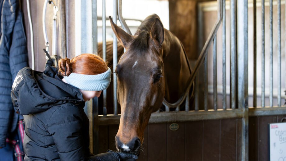 World Cup winner Becky Moody’s horse Jagerbomb relaxing in his stable at home