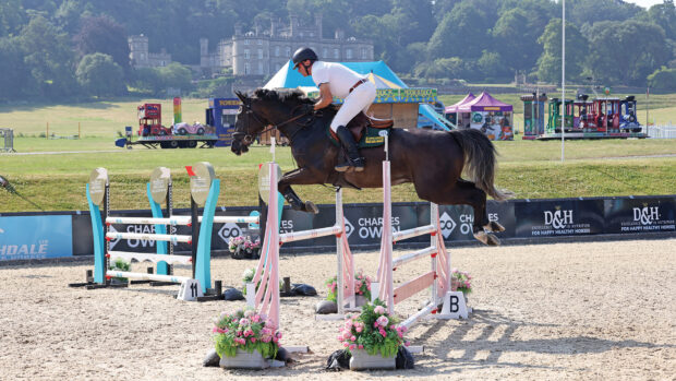 A dark coloured horse jumps a large oxer on a sand arena with Bolesworth Castle in the background.