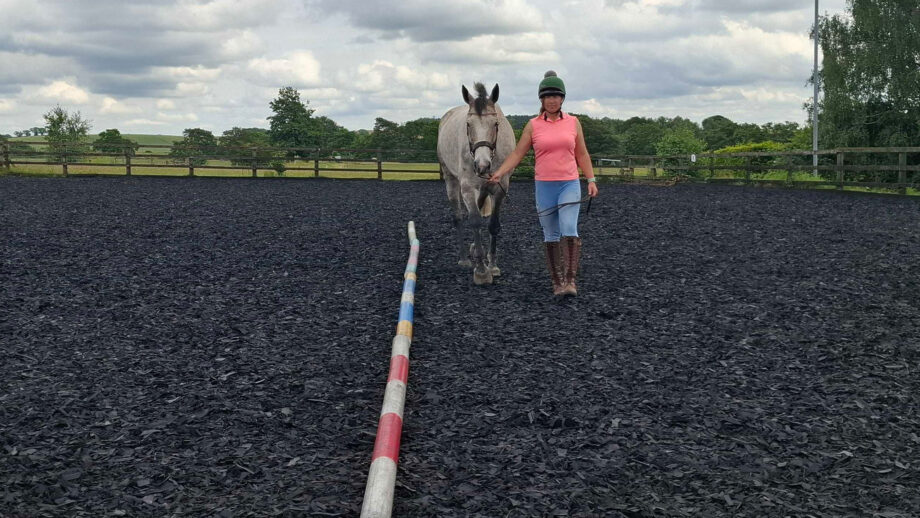 Horse being lead down the side of a long line of poles