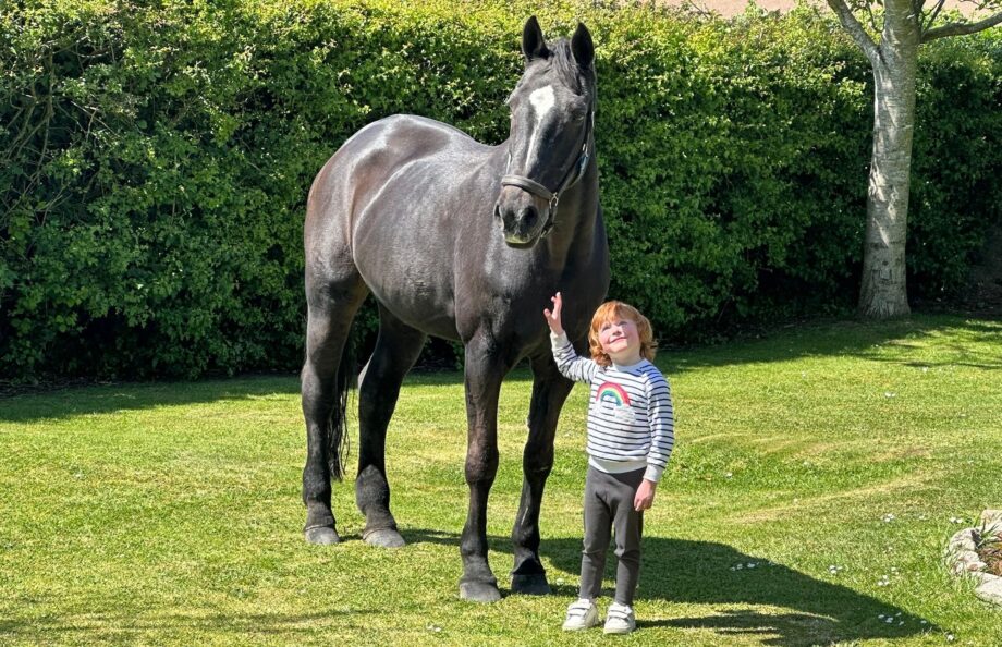 A young girl holds showjumping horse Karmijn on a lawn