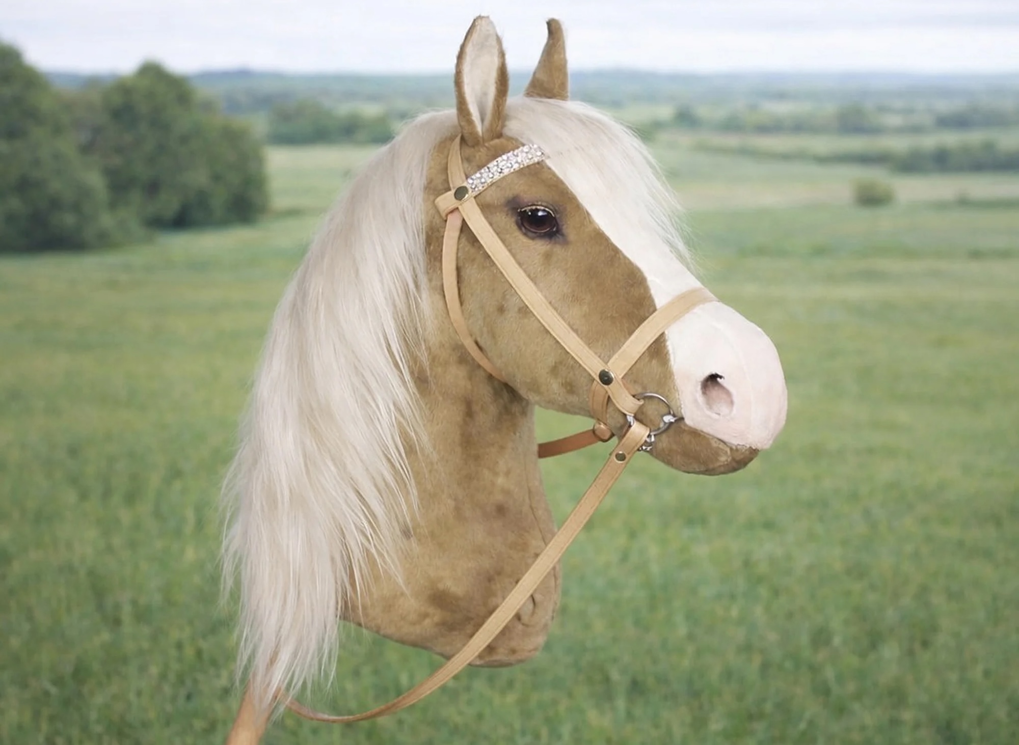 Example of a palomino hobby horse