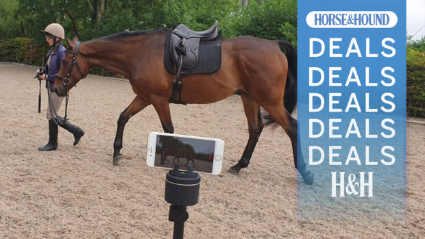 Lady leading horse in background with Pivo pod in foreground, and H&H deals graphic on the right