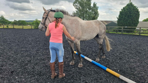 Woman holding horse standing over a pole, with two legs either side, attempting the sidepass