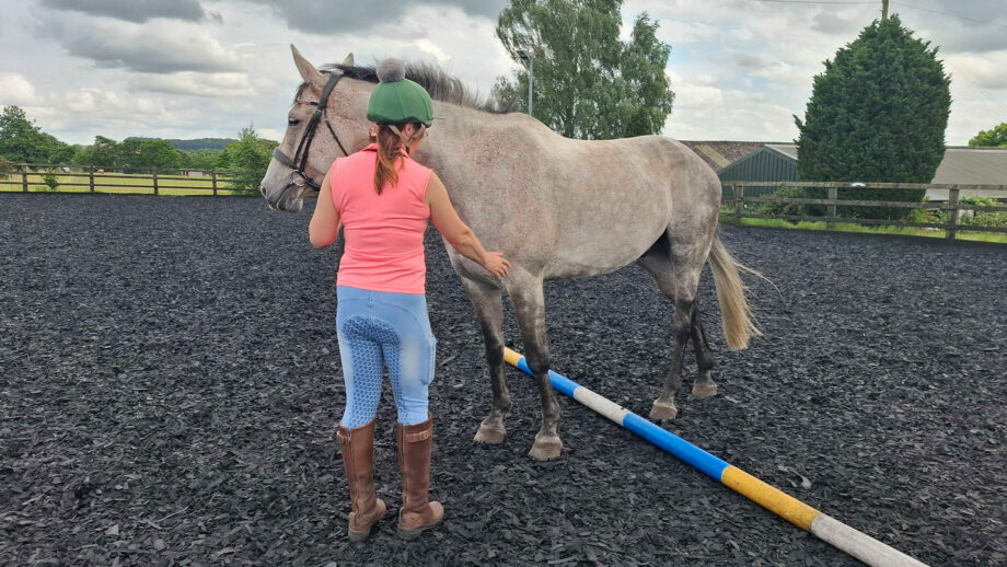 Woman holding horse standing over a pole, with two legs either side, attempting the sidepass