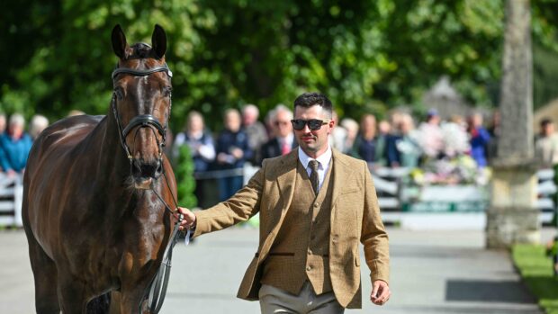 Stephen Heal and Hisco at the Bramham Horse Trials first trot-up 2026.