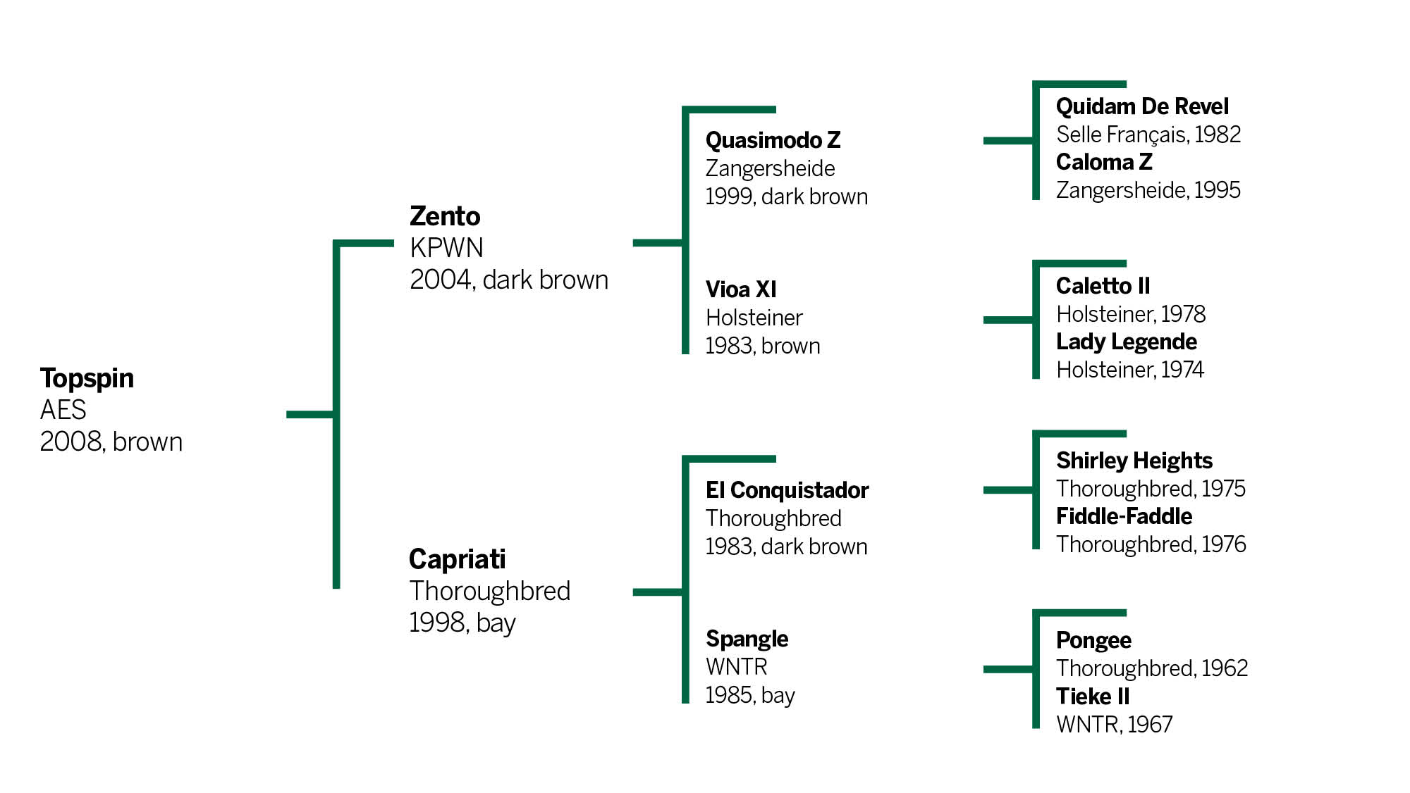 Topspin event horse pedigree chart showing four generations