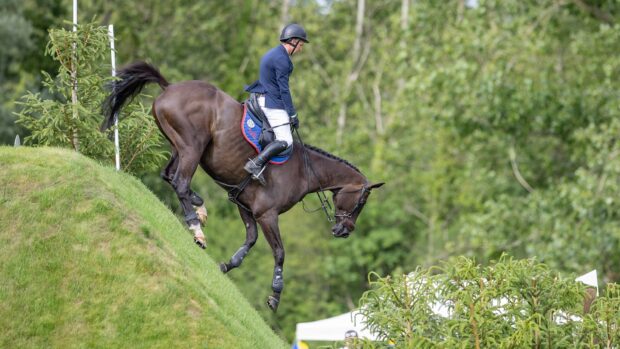 Mark Edwards and Dillinger NE come down the bank in the 2026 Hickstead Speed Derby