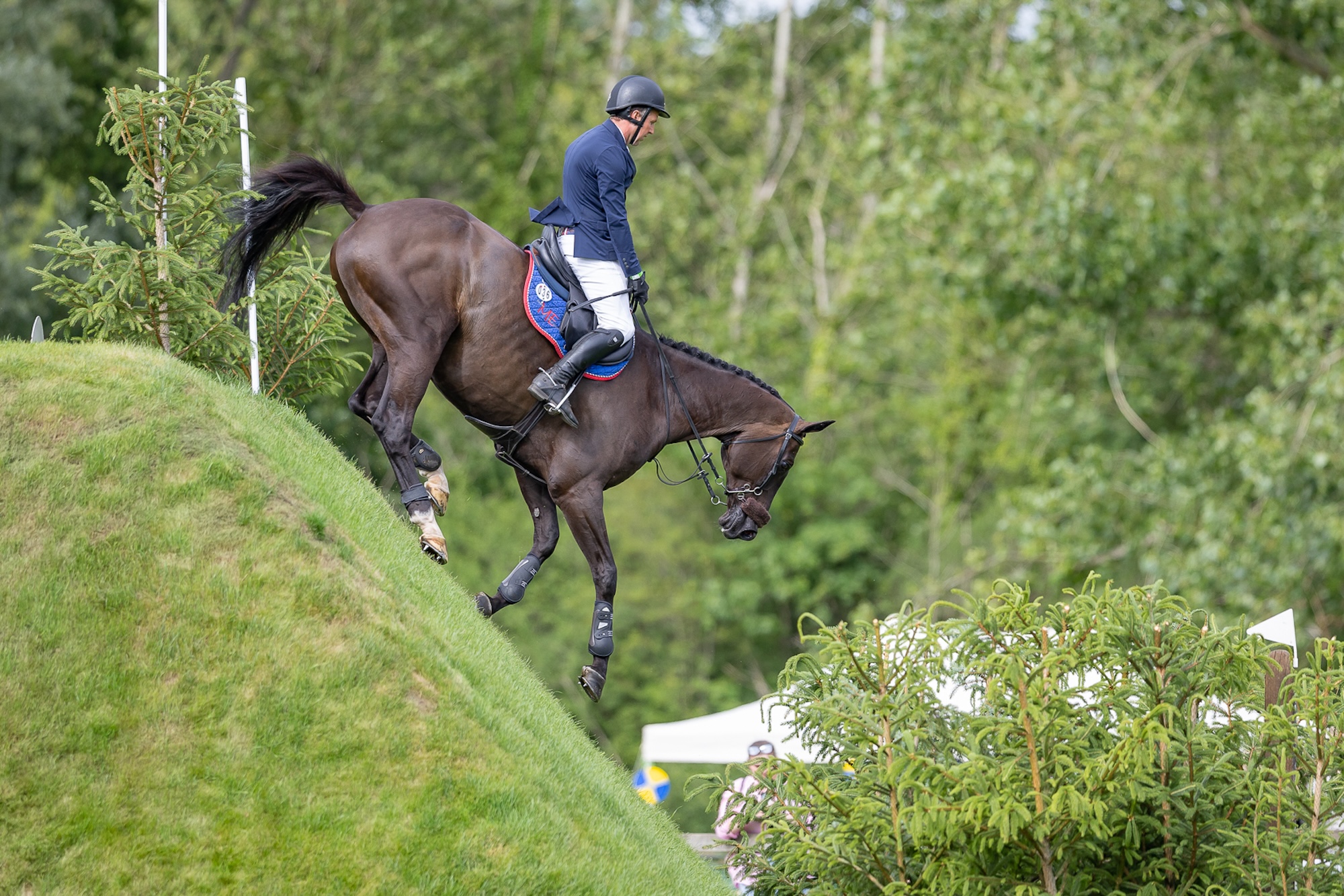 ‘He loved it’: horse who saw his first Derby fences two days ago cruises to win Hickstead speed title