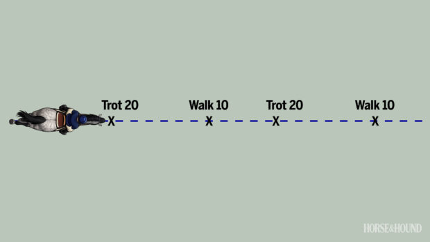 Diagram showing exercise to do with horse out hacking, using transitions