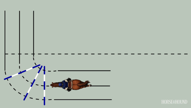 Try this simple polework exercise to improve your horse’s paces