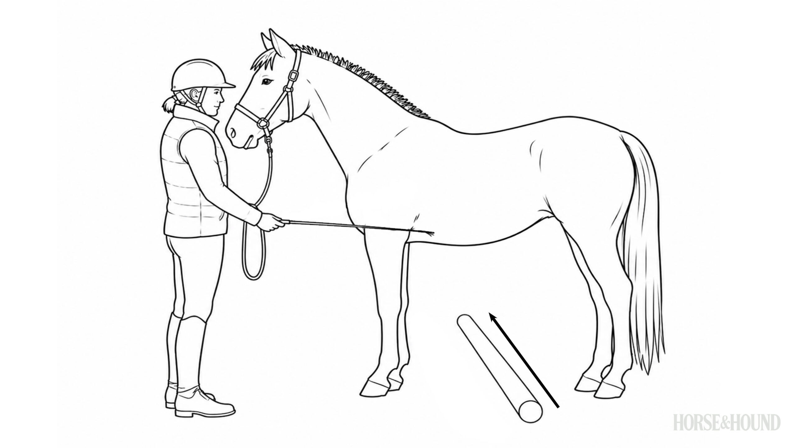 Drawing of horse rider asking horse to do sidepass exercise over a pole