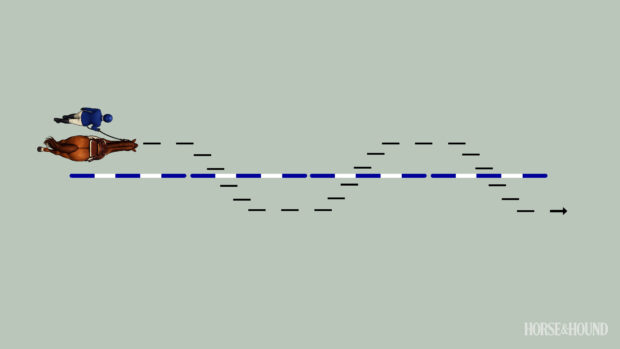 Diagram showing horse walk over a long line of poles