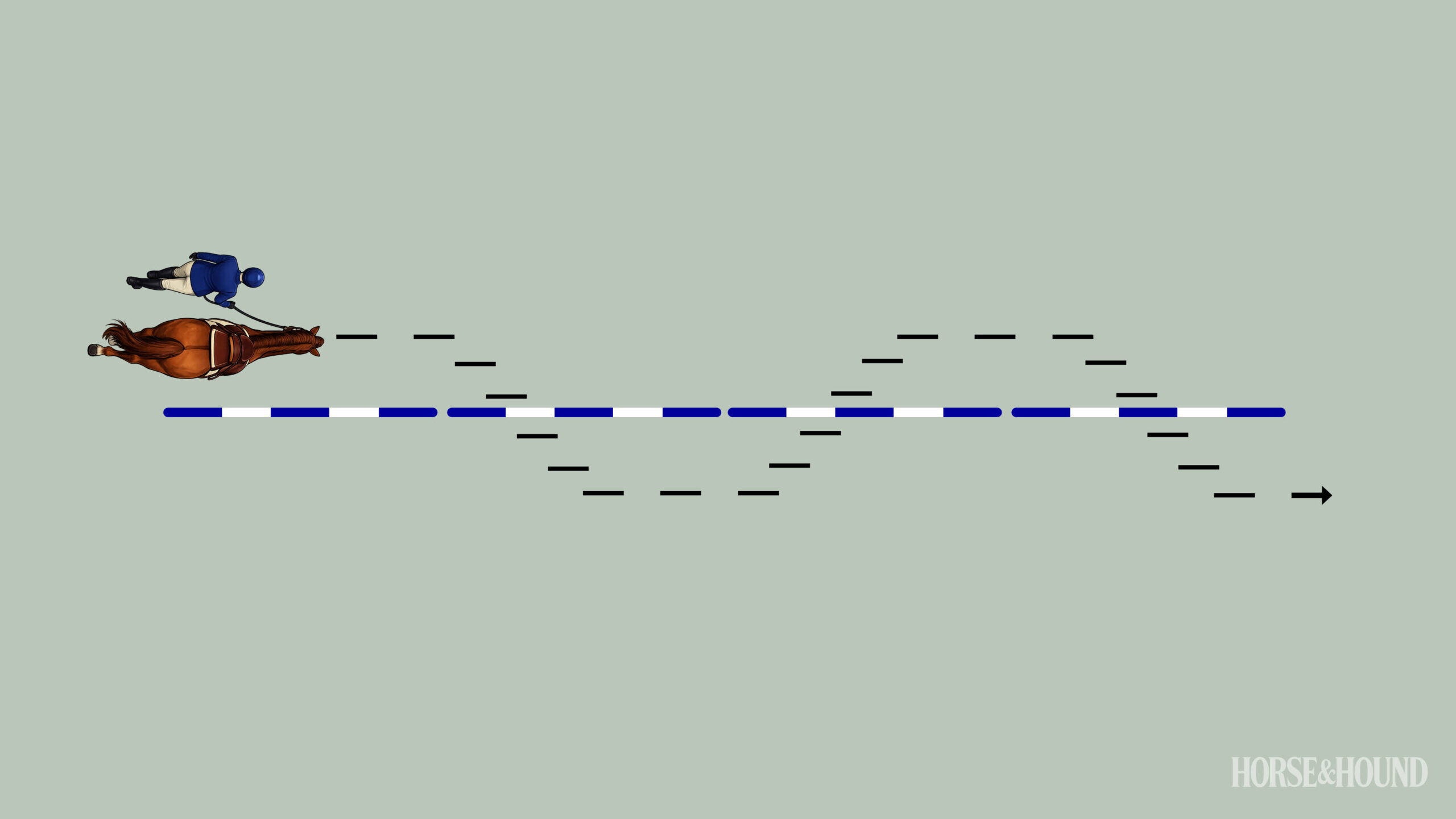 Diagram showing horse walk over a long line of poles