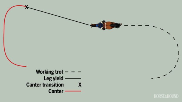 Diagram showing the leg-yield to canter exercise to get the correct canter lead