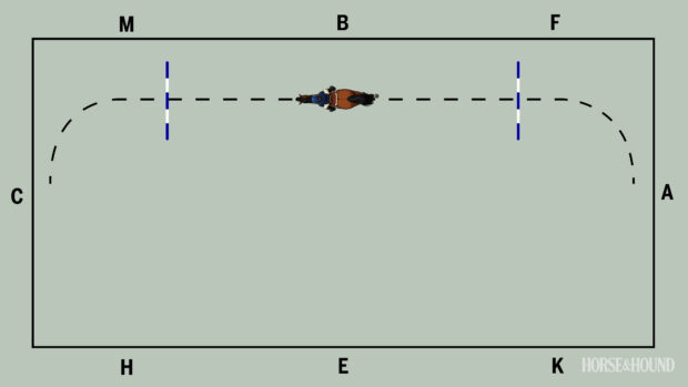 Diagram showing the pole layout in arena