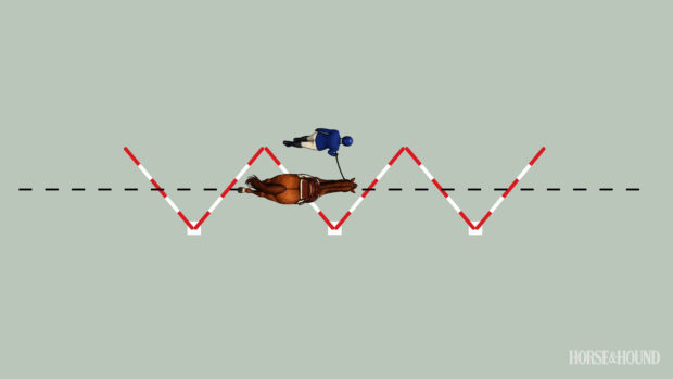 Diagram showing zigzag poles layout for training horse in hand