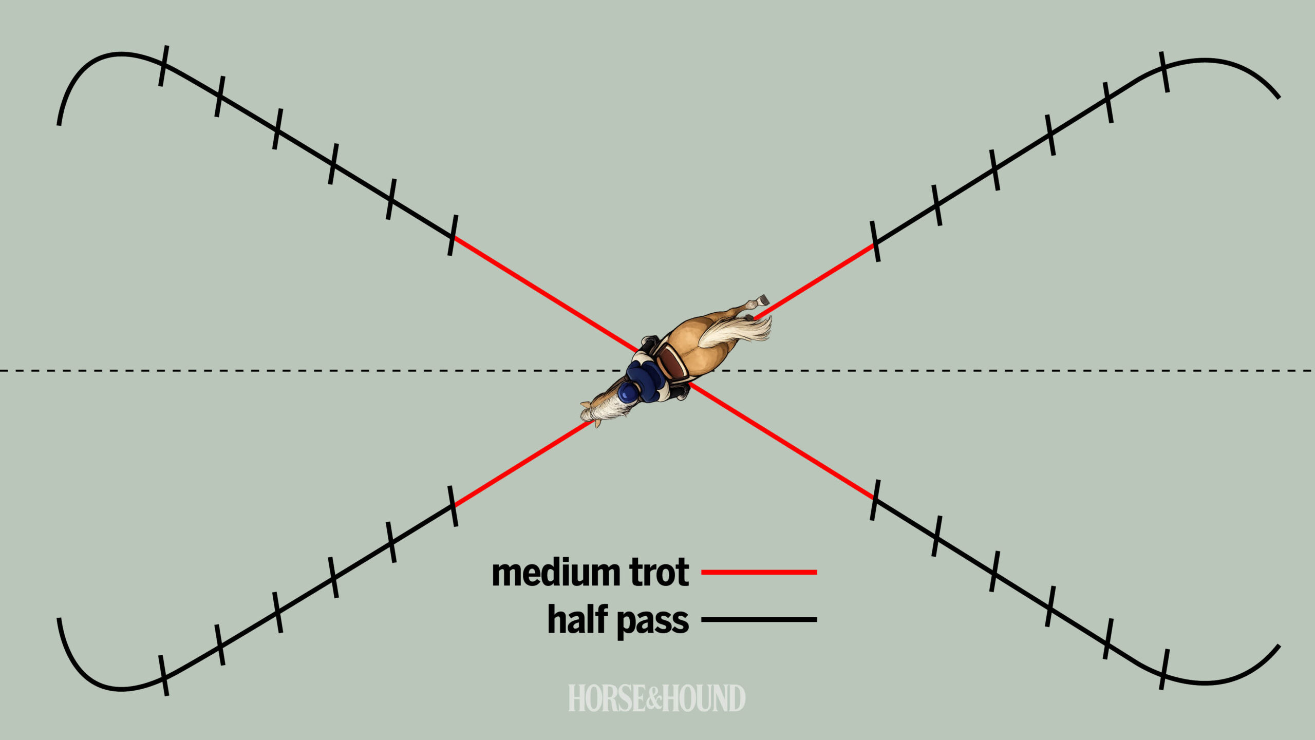 Diagram showing horse training exercise to practise the half pass and improve medium trot