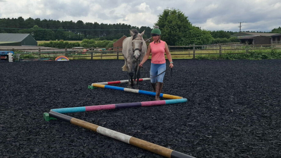 Woman leading horse over a zig-zag of poles