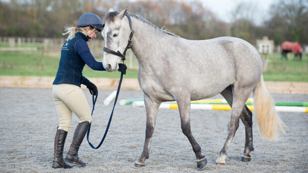 Woman backing a horse up from the ground