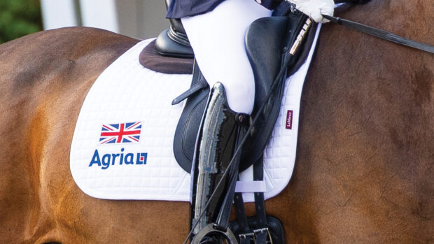 Close-up of a Union flag on a British team saddle cloth