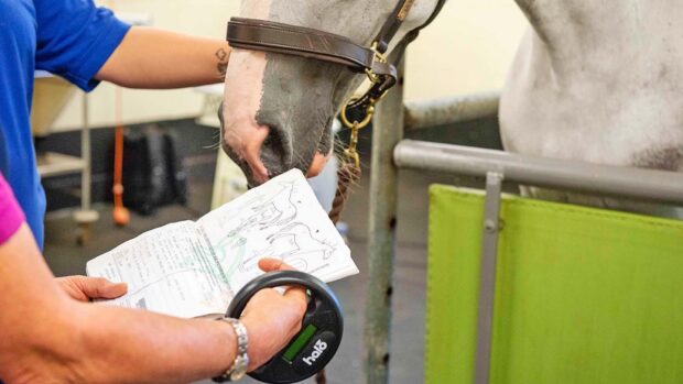 Scanning for a microchip and checking a passport