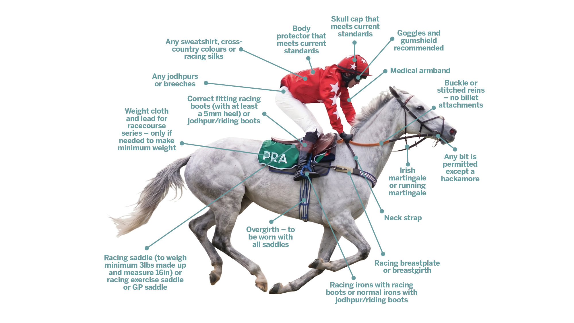 Graphic showing pony and jockey racing, with notes on what you need to do the sport