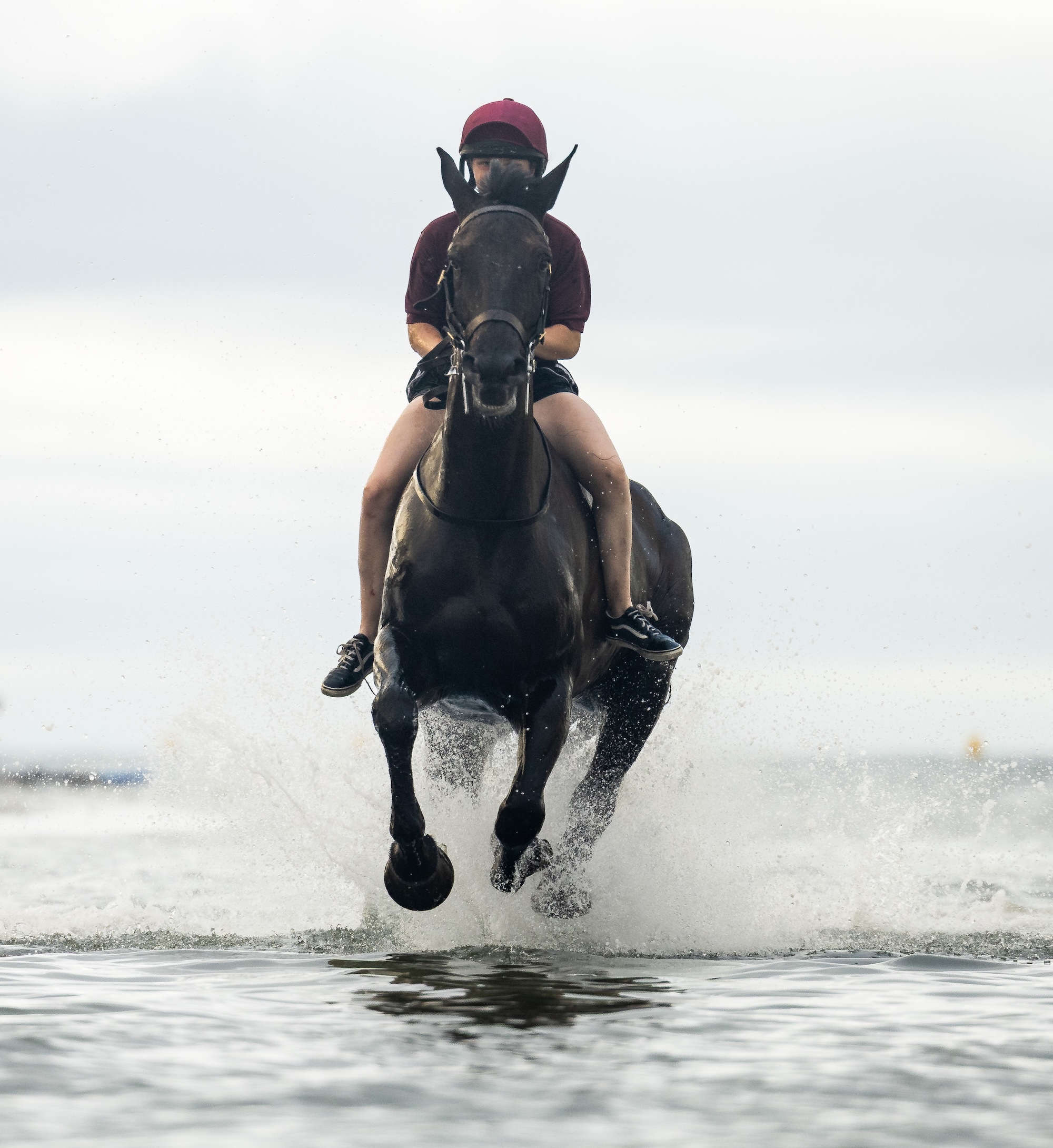 Pictured: Soldiers and horses from the Household Cavalry Mounted Regiment at Hayling Island beach on Friday 3 July 2026. The Household Cavalry Mounted Regiment swap the streets of London for the shores of Hampshire. As part of their three-week Summer Camp, The Life Guards and Blues and Royals deployed their Military Working Horses to Hayling Island Beach for a day of equine training with a difference. After welcoming four world leaders to Windsor, protecting The King at the State Opening of Parliament, and a spectacular King's Birthday Parade, a day in the sea felt very well-deserved. These horses face the noise and chaos of London every single day — sirens, crowds, and all the unexpected delights of city life, so building their confidence through exposure to new environments is essential. The beach — with its shifting sands, crashing waves, screeching gulls, and overexcited children — is the perfect testing ground. For the youngest horses, it was their very first encounter with the sea. Watching