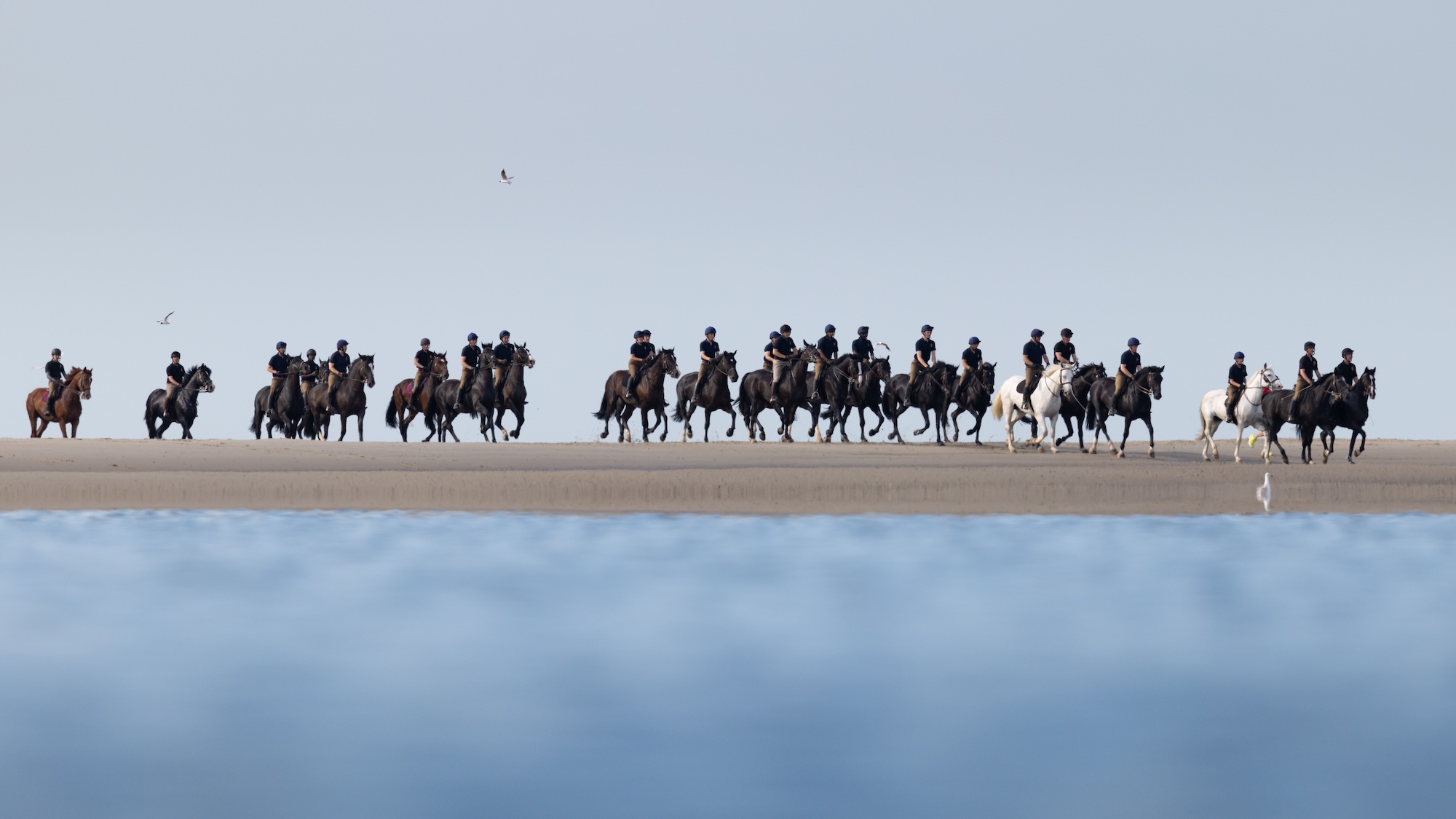 Pictured: Soldiers and horses from the Household Cavalry Mounted Regiment at Hayling Island beach on Friday 3 July 2026. The Household Cavalry Mounted Regiment swap the streets of London for the shores of Hampshire. As part of their three-week Summer Camp, The Life Guards and Blues and Royals deployed their Military Working Horses to Hayling Island Beach for a day of equine training with a difference. After welcoming four world leaders to Windsor, protecting The King at the State Opening of Parliament, and a spectacular King's Birthday Parade, a day in the sea felt very well-deserved. These horses face the noise and chaos of London every single day — sirens, crowds, and all the unexpected delights of city life, so building their confidence through exposure to new environments is essential. The beach — with its shifting sands, crashing waves, screeching gulls, and overexcited children — is the perfect testing ground. For the youngest horses, it was their very first encounter with the sea. Watching