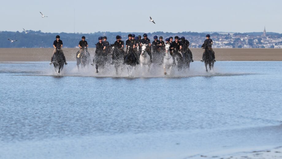 Pictured: Soldiers and horses from the Household Cavalry Mounted Regiment at Hayling Island beach on Friday 3 July 2026. The Household Cavalry Mounted Regiment swap the streets of London for the shores of Hampshire. As part of their three-week Summer Camp, The Life Guards and Blues and Royals deployed their Military Working Horses to Hayling Island Beach for a day of equine training with a difference. After welcoming four world leaders to Windsor, protecting The King at the State Opening of Parliament, and a spectacular King's Birthday Parade, a day in the sea felt very well-deserved. These horses face the noise and chaos of London every single day — sirens, crowds, and all the unexpected delights of city life, so building their confidence through exposure to new environments is essential. The beach — with its shifting sands, crashing waves, screeching gulls, and overexcited children — is the perfect testing ground. For the youngest horses, it was their very first encounter with the sea. Watching