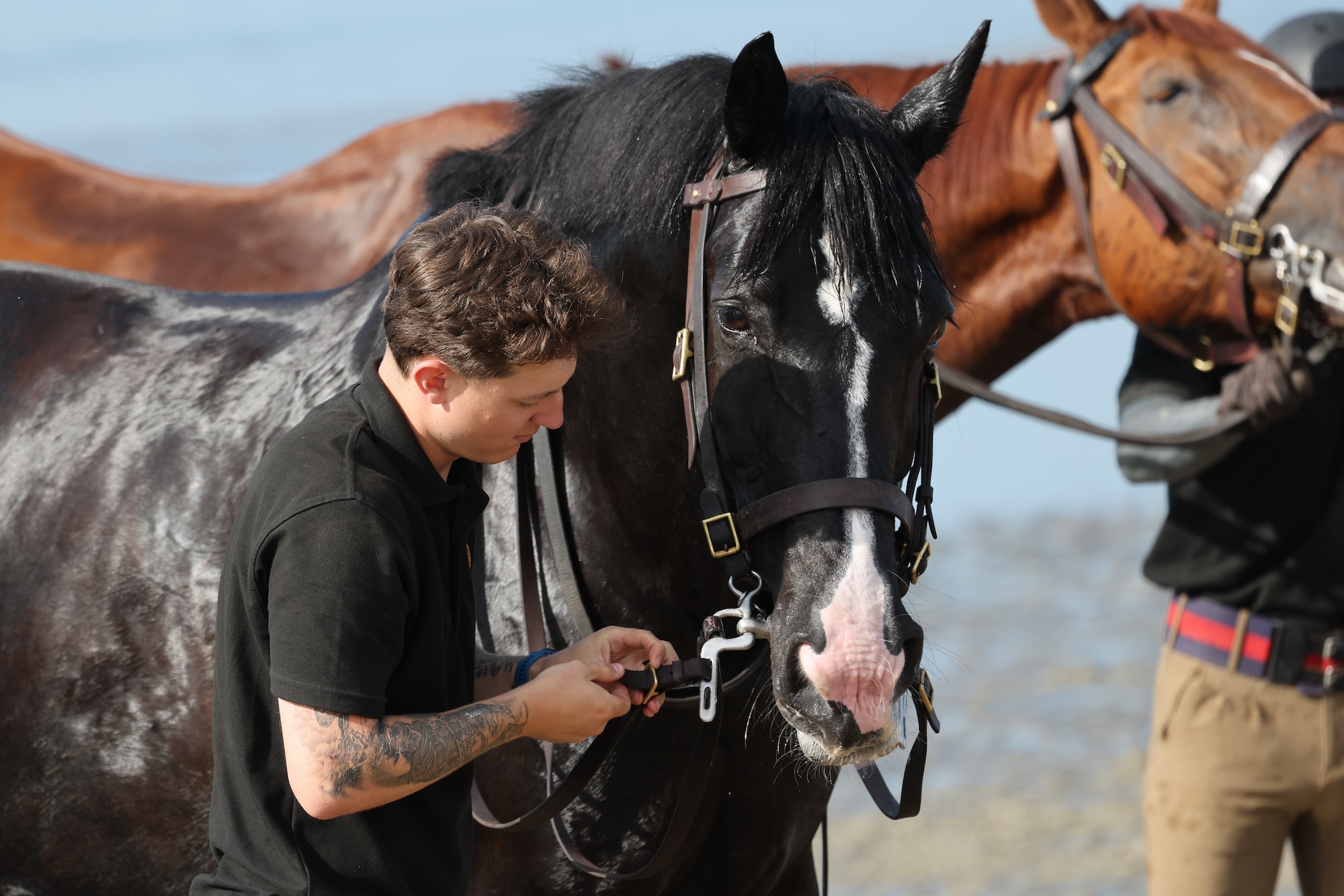 Pictured: Soldiers and horses from the Household Cavalry Mounted Regiment at Hayling Island beach on Friday 3 July 2026. The Household Cavalry Mounted Regiment swap the streets of London for the shores of Hampshire. As part of their three-week Summer Camp, The Life Guards and Blues and Royals deployed their Military Working Horses to Hayling Island Beach for a day of equine training with a difference. After welcoming four world leaders to Windsor, protecting The King at the State Opening of Parliament, and a spectacular King's Birthday Parade, a day in the sea felt very well-deserved. These horses face the noise and chaos of London every single day — sirens, crowds, and all the unexpected delights of city life, so building their confidence through exposure to new environments is essential. The beach — with its shifting sands, crashing waves, screeching gulls, and overexcited children — is the perfect testing ground. For the youngest horses, it was their very first encounter with the sea. Watching