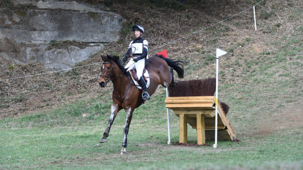 A bay horse landing from a narrow skinny cross-country fence at the bottom of a steep hill at the eventing World Championships.
