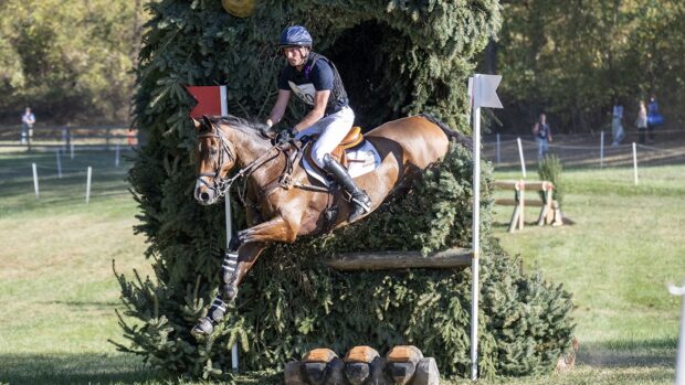 Tim Price and Falco, pictured at Maryland 5 Star in 2024.