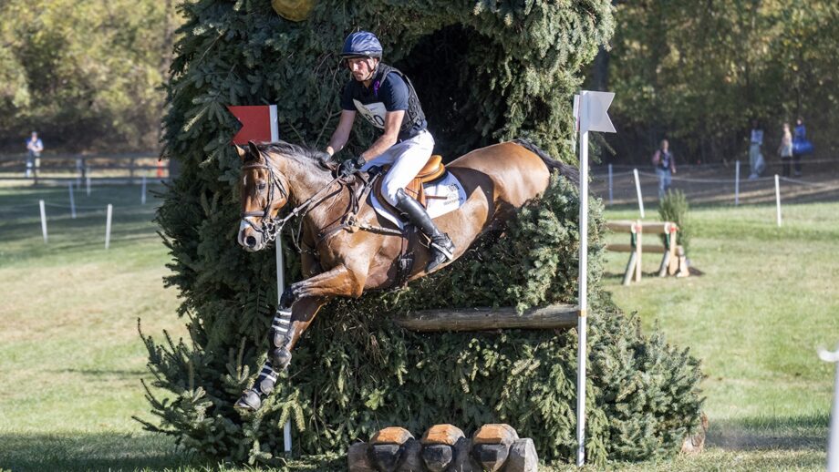 Tim Price and Falco, pictured at Maryland 5 Star in 2024.