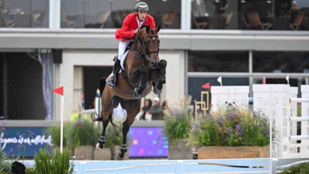 Pictured showjumper Richard Vogel with United Touch S, who have been named on the German showjumping team for the World Championships.