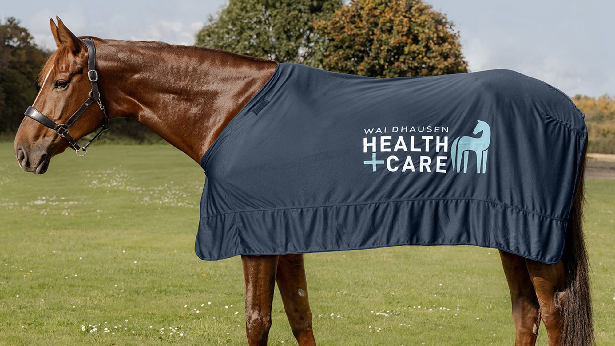 Waldhausen Health + Care Ice-Layer Rug