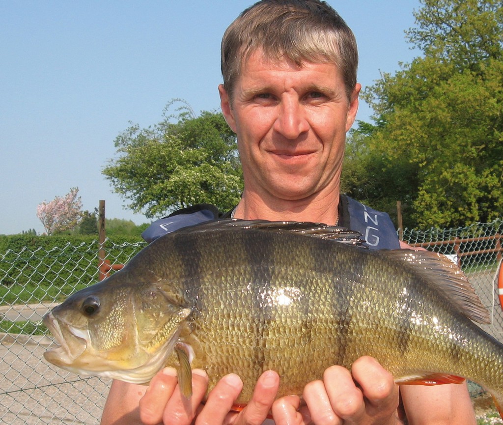 Perch record equalled at trout venue! Angler's Mail