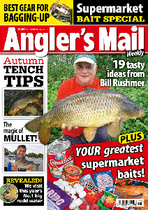 AMCoverSEP20website