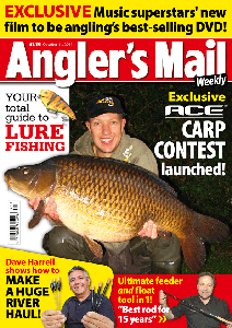 AMCoverOct11web