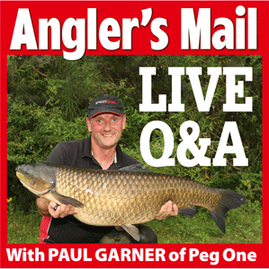 paulgarnerfacebook