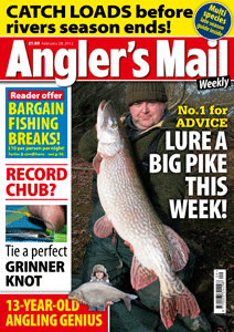 AmCoverFEB28
