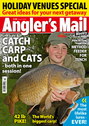 AMCOVERJUNE5large